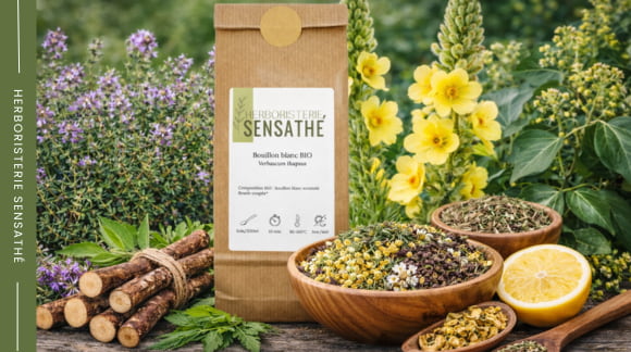 Malvaceae médicinales avec mauve guimauve hibiscus et tilleul en tisane - Herboristerie Sensathé